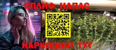 наркотики Кингисепп