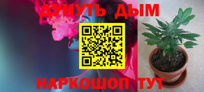наркотики Кингисепп