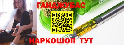 сатива Кимры