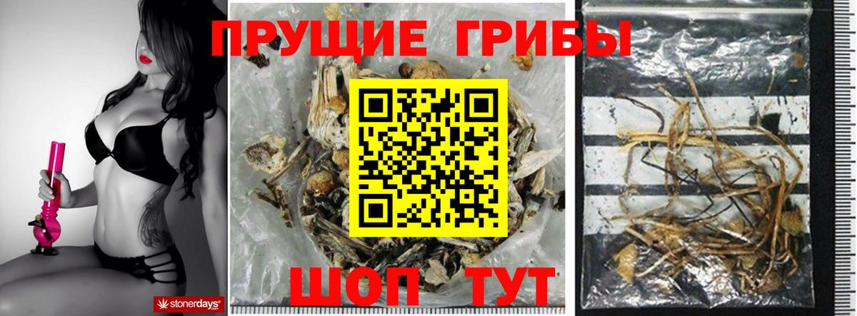 Галлюциногенные грибы Cubensis  Вход с VPN  Лесозаводск  наркошоп  Галлюциногенные грибы прущие грибы 